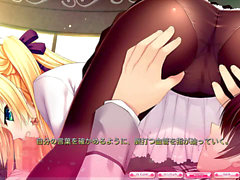 Eroge, domestic