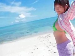 Japanese tits touching