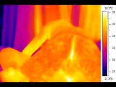 Sex in front of a thermal camera