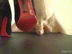 Sexy Nylon Babe HeelJob - HeelsLovers@Pornhub